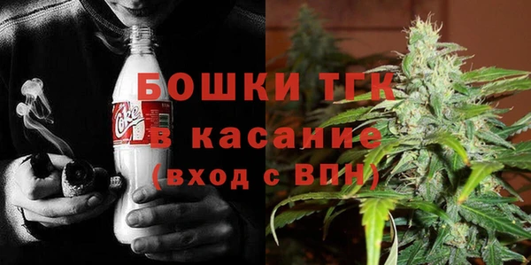 эйфоретик Михайлов